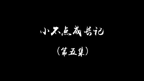 小不點(diǎn)成長(zhǎng)記第五集