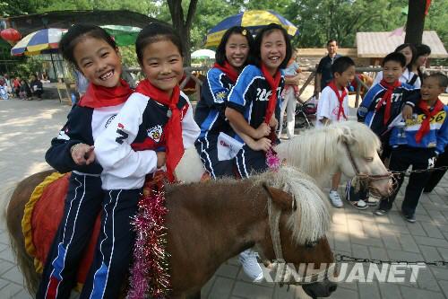  6月7日，在濟(jì)南動(dòng)物園，來自災(zāi)區(qū)的兩對(duì)雙胞胎姐妹丁雯（左一）、丁靜（左二）和陳方方（右一）、陳圓圓騎上美國小矮馬拍照。 當(dāng)日，在山東濟(jì)南師范學(xué)校過渡復(fù)學(xué)的340多名來自四川省北川縣擂鼓鎮(zhèn)的小學(xué)生到濟(jì)南動(dòng)物園免費(fèi)游園，度過了愉快的一天。