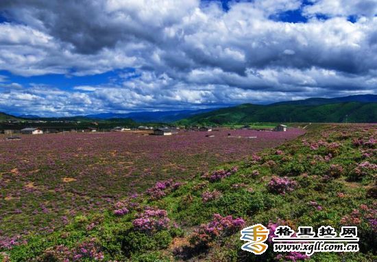 風(fēng)景如畫