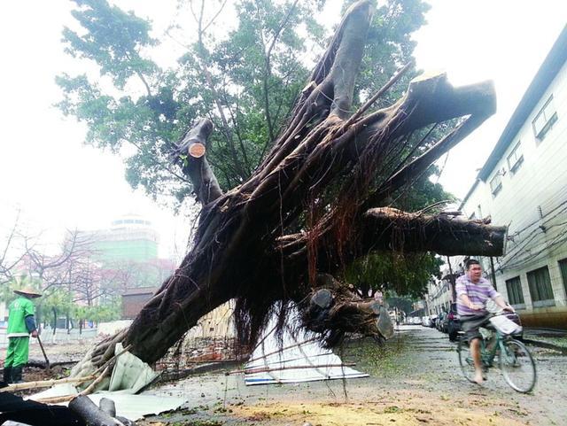 廣東多地遭暴雨冰雹襲擊 143縣市發(fā)布災(zāi)害預(yù)警