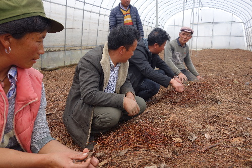 田間學校授課忙