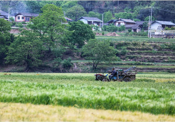 塔城鎮(zhèn)夏收夏種忙