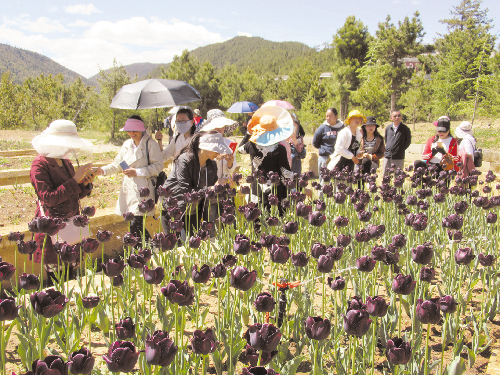 科技活動(dòng)周：走進(jìn)植物園長(zhǎng)知識(shí)開眼界