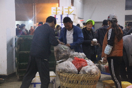 夜晚的松茸園區(qū)熱鬧非凡