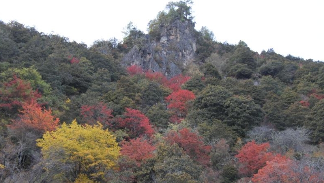 白馬雪山秋韻