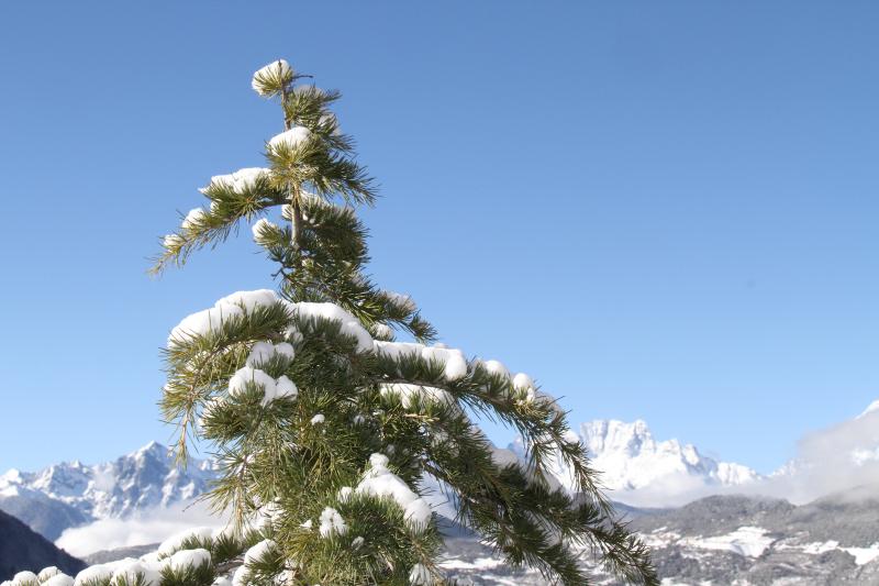 雪后的德欽，隨手一拍就是風(fēng)景