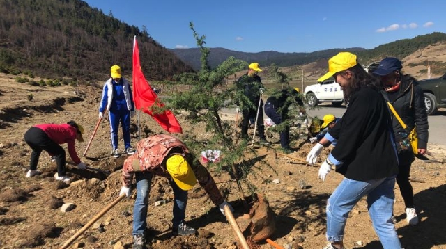 我為高原添新綠，守護青山不言苦