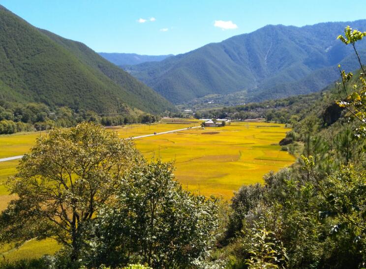 鋪開鄉(xiāng)村振興美麗畫卷