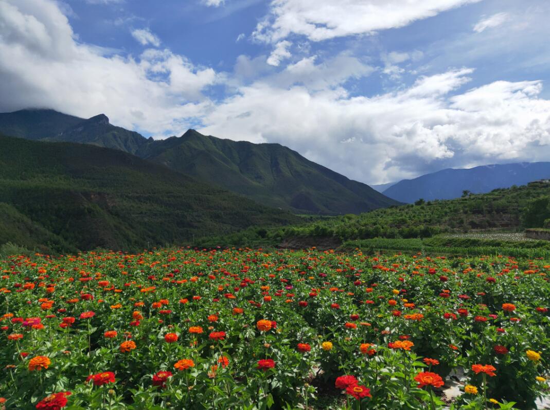 湯滿村持續(xù)推進鄉(xiāng)村旅游振興本地經(jīng)濟戰(zhàn)略