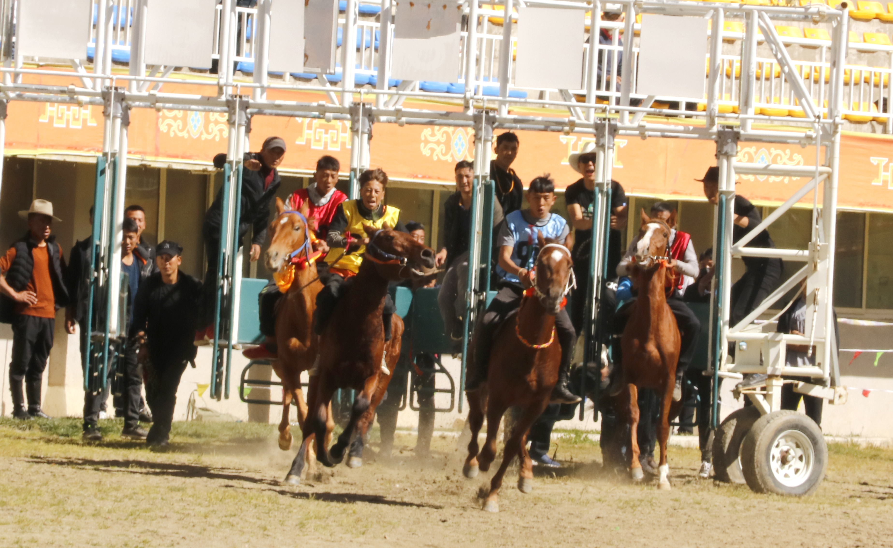 香格里拉首屆金秋賽馬節(jié)開賽