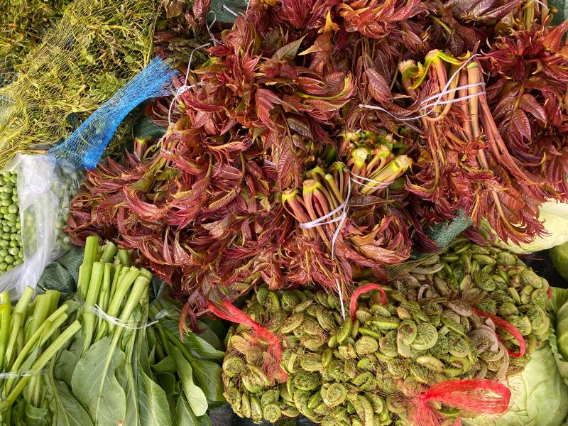 吃貨們有福了，?維西山茅野菜扎堆上市