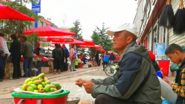 仙人果帶來的財(cái)富