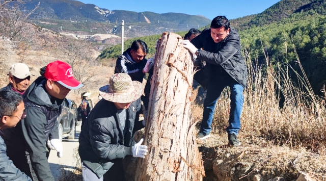 【愛國衛(wèi)生運動】尼西鄉(xiāng)開展環(huán)境清理整治運動