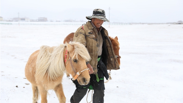 來了！來了！2021年香格里拉第一場雪終于來了！