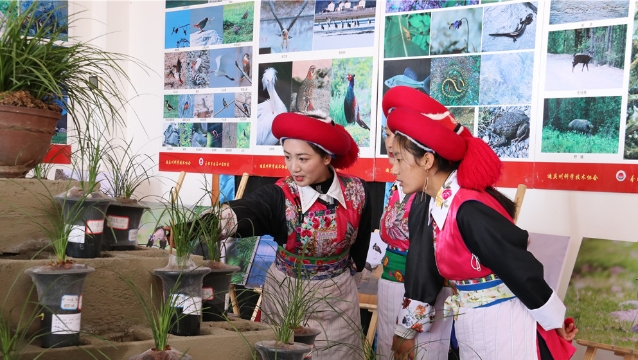 迪慶影像生物多樣性攝影展和香格里拉第六屆春季花展開幕