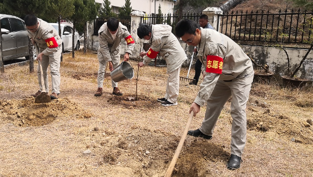 大唐香電公司義務(wù)植樹添新綠