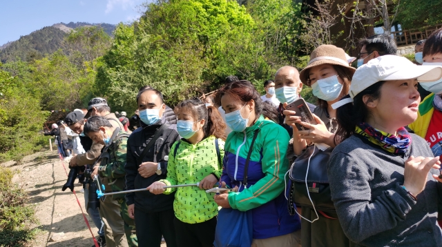 香格里拉滇金絲猴國家公園省內(nèi)游客成主力