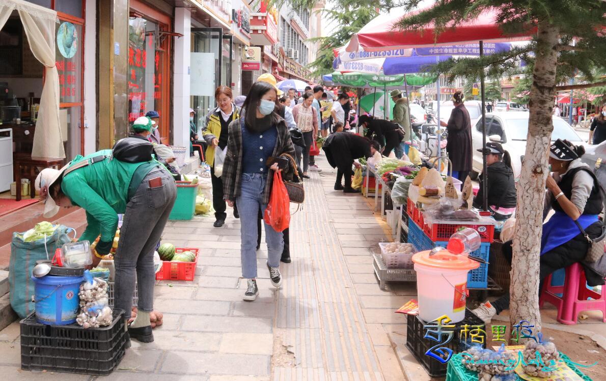 香格里拉時蔬和菌類搶鮮上市，備受市民青睞