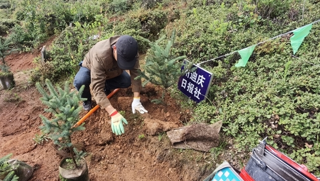 迪慶日報社參加秋季義務(wù)植樹