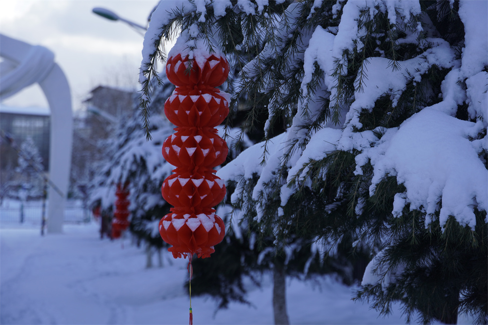 【網(wǎng)絡(luò)中國節(jié)?春節(jié)】瑞雪兆豐年！迪慶下雪了！