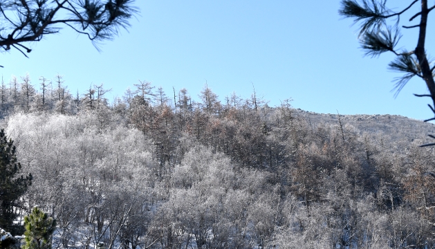 五鳳山霧凇景觀