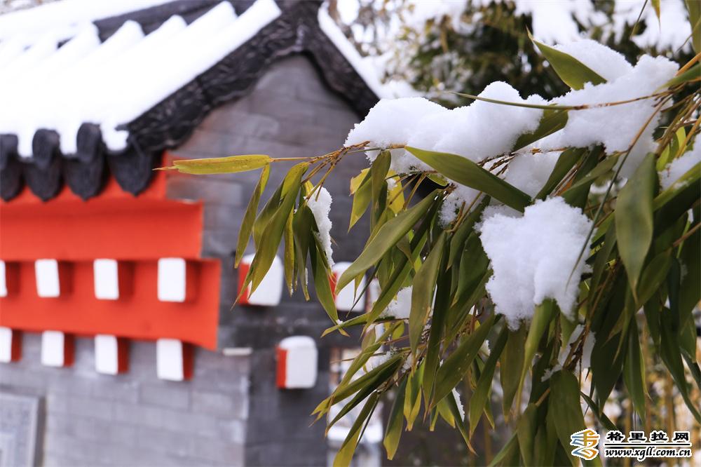 雪后的香巴拉公園宛若童話世界