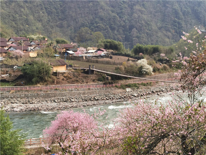 獨龍江鄉(xiāng)迪政當村 (6).jpg