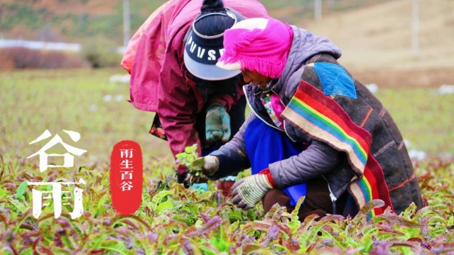 今日谷雨?|?雨生百谷，滋潤(rùn)萬(wàn)物