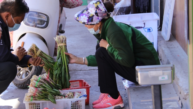 @吃貨們！香格里拉野菜上市了！快來嘗鮮