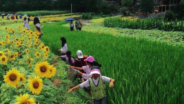 迪慶人民“就地過(guò)節(jié)”在家門口擁抱“詩(shī)和遠(yuǎn)方”