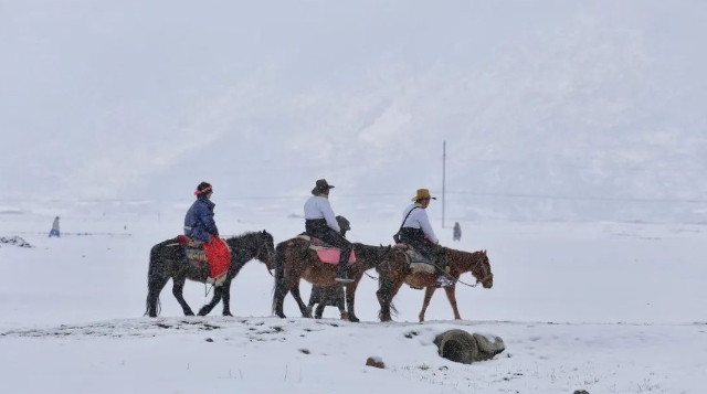 約嗎?去香格里拉這個春天飄雪的地方