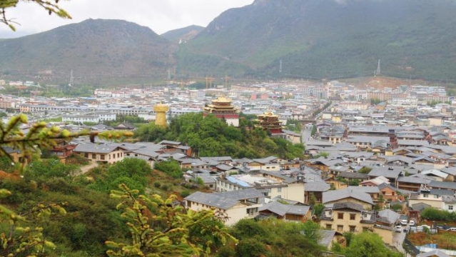 走進(jìn)香格里拉雨后的山林