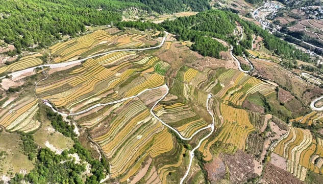 多彩梯田