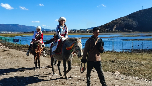 納帕海景區(qū)旅游熱度不減