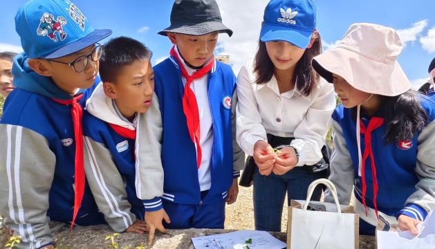 香格里拉市建塘小學教育集團開展“親近大自然、探訪植物園”主題研學活動