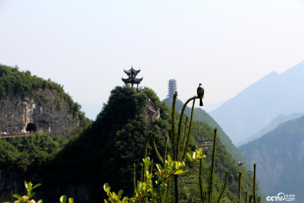 云陽(yáng)龍缸景區(qū)秀麗的風(fēng)景吸引著不少外地游客