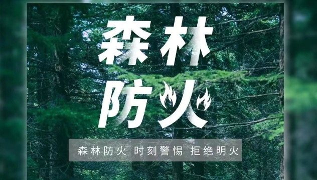 公益海報(bào) | 森林防火 時(shí)刻警惕 拒絕明火