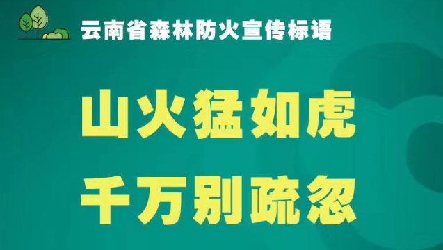 云南森林防火宣傳標(biāo)語