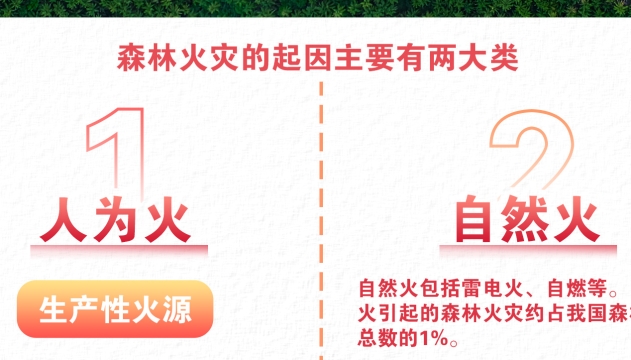 公益廣告 | 森林防火4